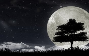 322 Moon HD Wallpapers | Background Images - Wallpaper Abyss - Page 2