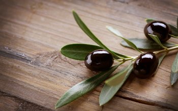 15 Olive HD Wallpapers | Backgrounds - Wallpaper Abyss