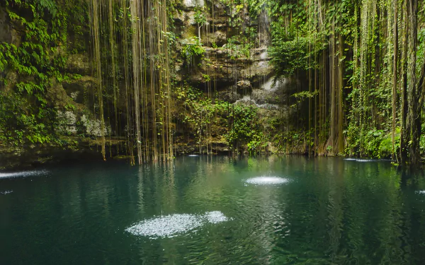 HD desktop wallpaper of a serene cenote lake in Yucatán, Mexico, surrounded by lush greenery and hanging vines in a natural setting.