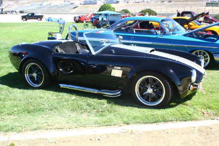 Black AC Cobra roadster with white racing stripes parked on grass at a car show, chrome side pipes and open cockpit — 2K Quad HD PC desktop wallpaper/background.