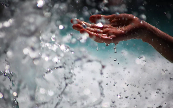 photography hand HD Desktop Wallpaper | Background Image