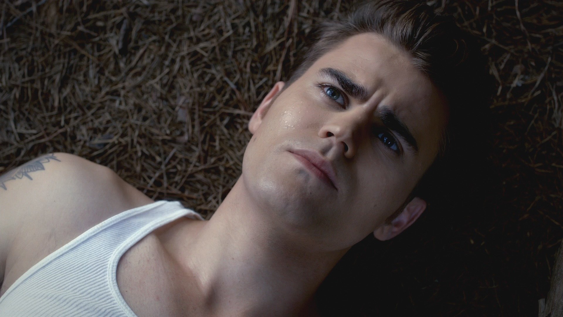 HD PC desktop wallpaper featuring a close-up of celebrity Paul Wesley lying on the ground, gazing thoughtfully upward.