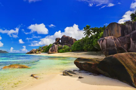A stunning tropical beach in Seychelles featuring soft sand, crystal-clear water, palm trees, and dramatic rock formations under a bright blue sky.