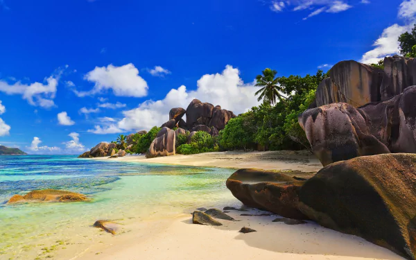 A stunning tropical beach in Seychelles featuring soft sand, crystal-clear water, palm trees, and dramatic rock formations under a bright blue sky.