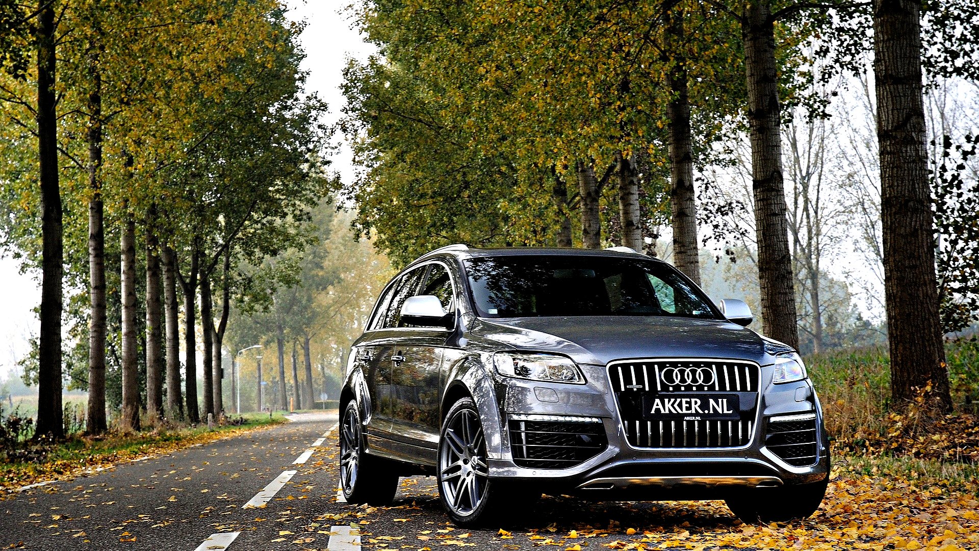Vehicles Audi Q7 HD Wallpaper | Background Image