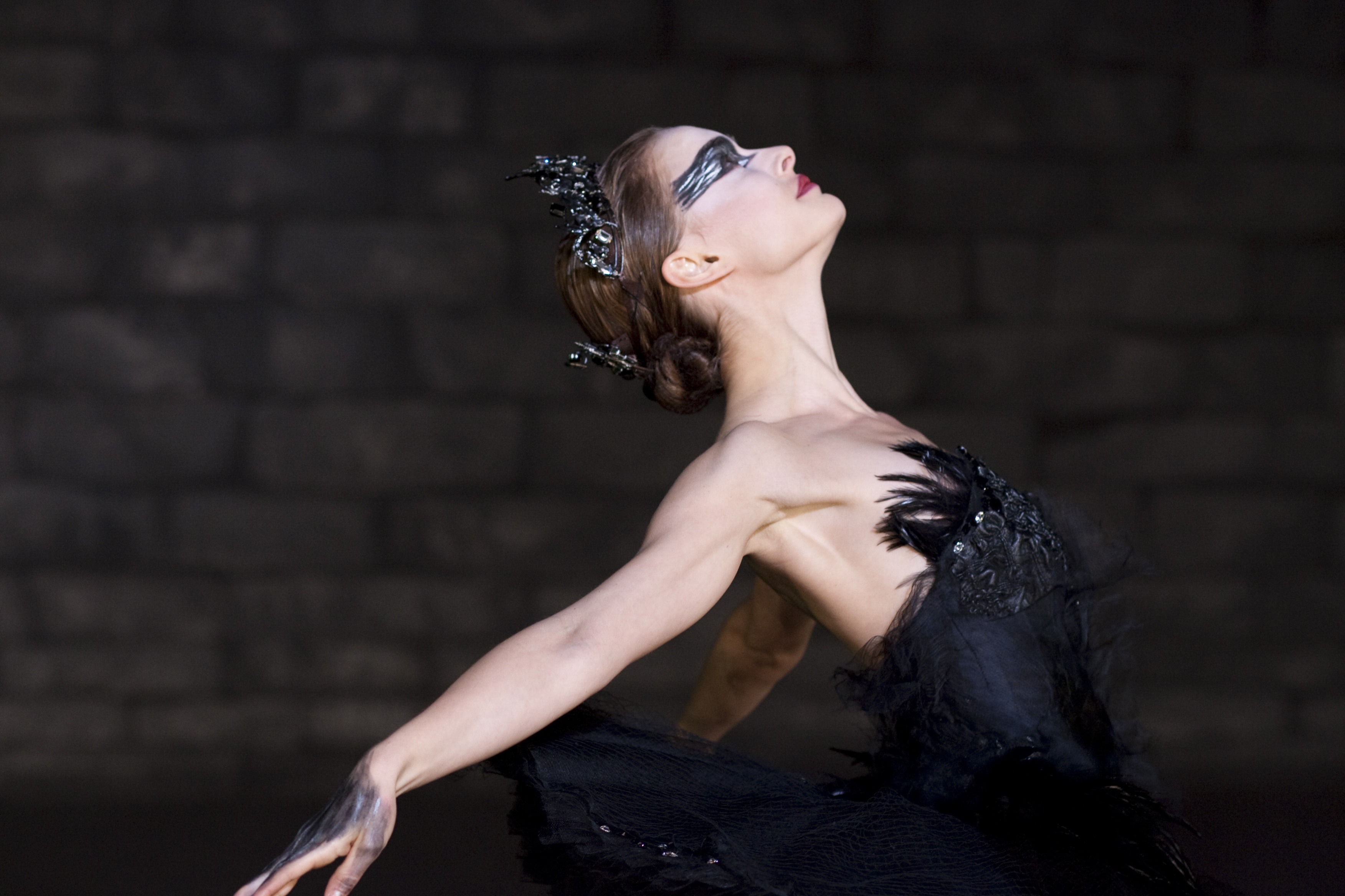 10+ Black Swan HD Wallpapers and Backgrounds