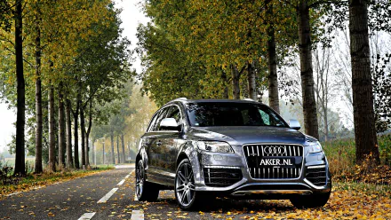 HD desktop wallpaper featuring a sleek Audi Q7 parked on a leaf-lined road surrounded by tall trees in autumn.