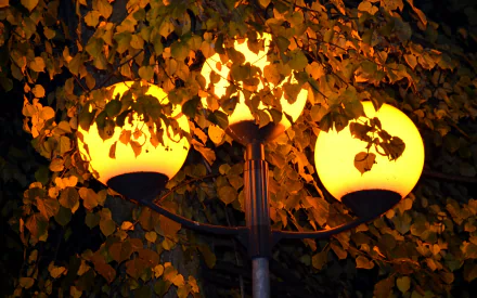 man made lamp post HD Desktop Wallpaper | Background Image