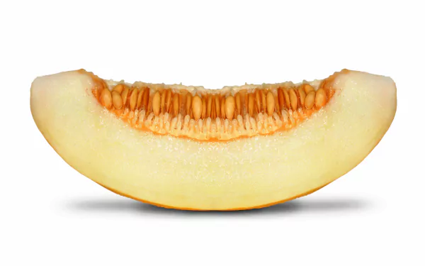  honey dew melon