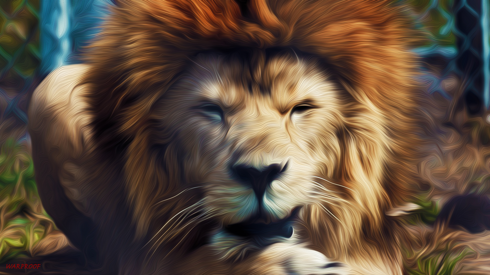 Animal Lion HD Wallpaper | Background Image