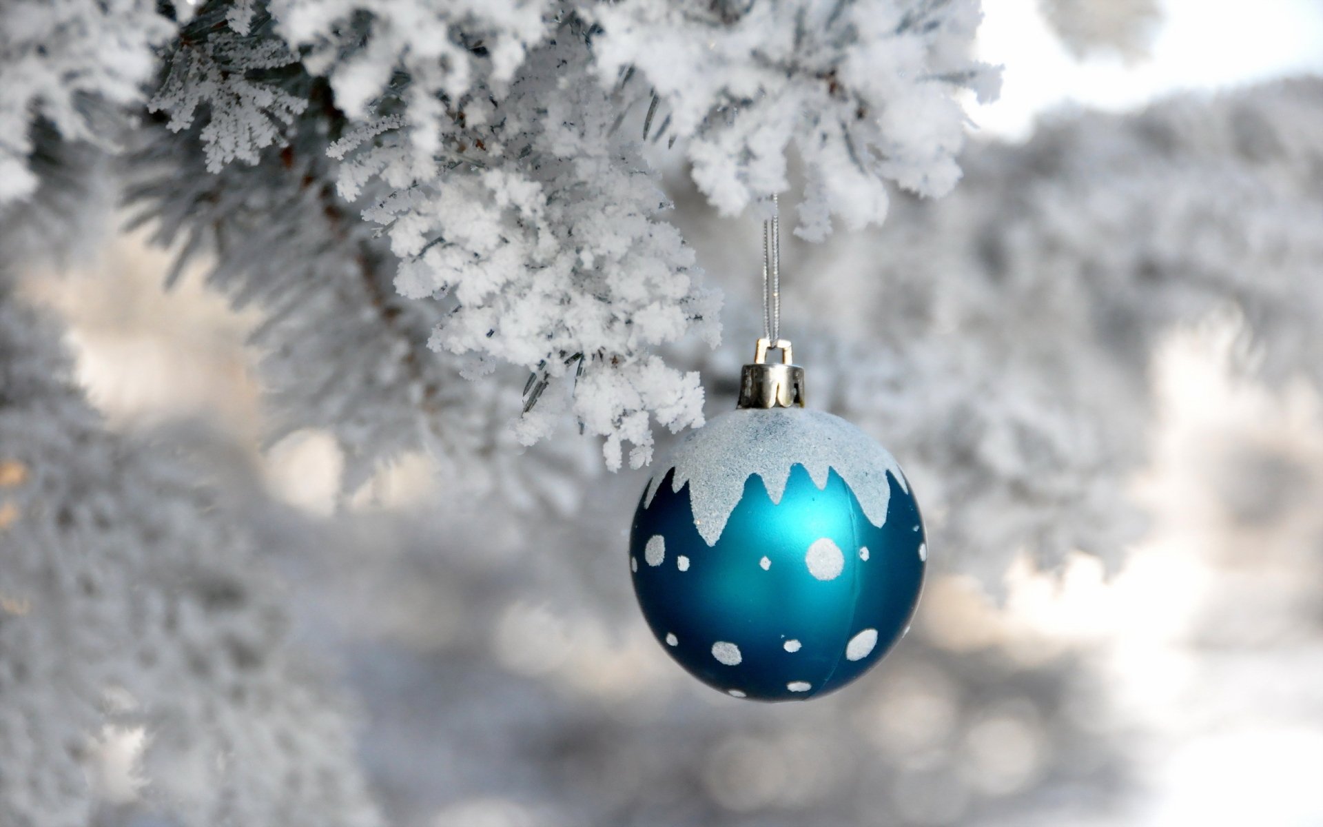 A bright blue Christmas ornament with snowy accents hangs from a frosty tree branch, capturing the festive spirit of the holiday season in this HD desktop wallpaper.