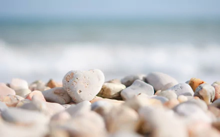 HD desktop wallpaper featuring a close-up of smooth white stones on a beach, highlighting natural textures and serene coastal tones.