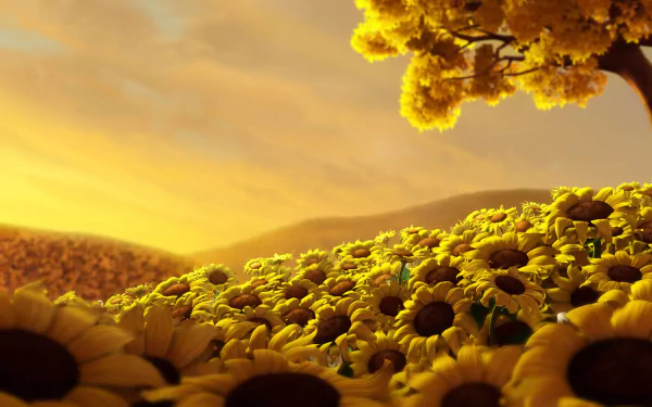 HD desktop wallpaper featuring a vibrant landscape of sprawling sunflower fields under a golden sunset, with a flourishing tree to the side.