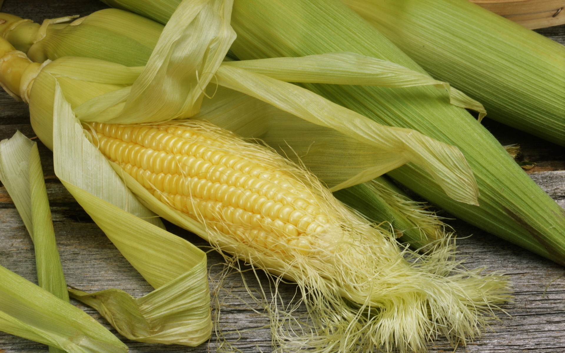 Corn Full HD Wallpaper and Background Image | 1920x1200 | ID:444009