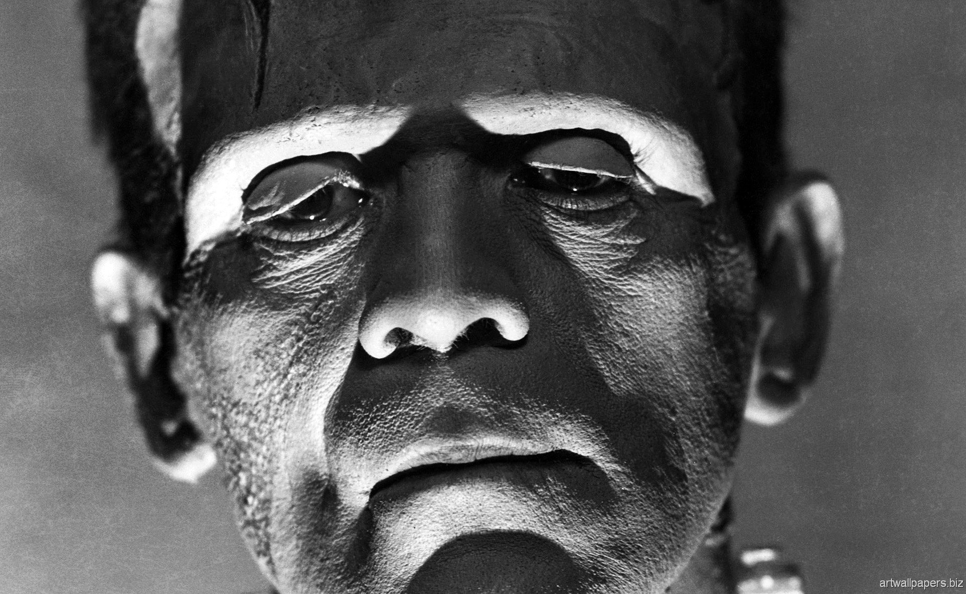 Movie The Bride of Frankenstein HD Wallpaper