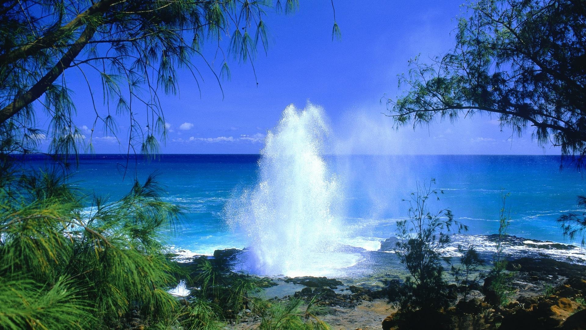 HD PC desktop wallpaper showcasing vibrant blue ocean waves crashing against a rocky beach, framed by lush green foliage under a clear sky.