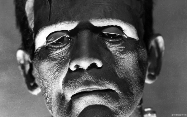 movie Bride of Frankenstein HD Desktop Wallpaper | Background Image