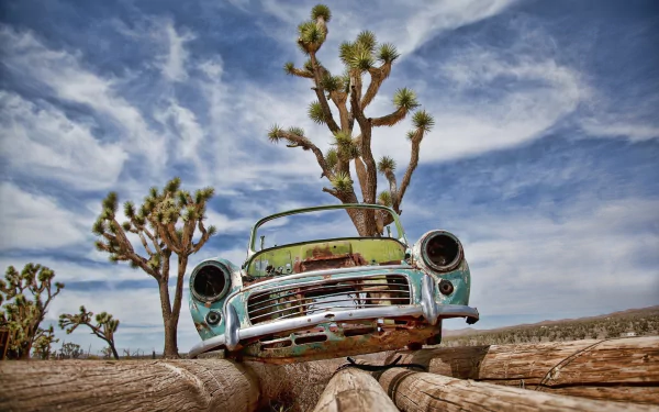 old vehicle wreck HD Desktop Wallpaper | Background Image