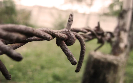 man made barb wire HD Desktop Wallpaper | Background Image