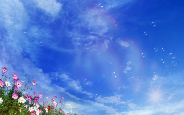 Earth Flower Flowers Bubble Sky Cloud Nature HD Wallpaper | Background Image