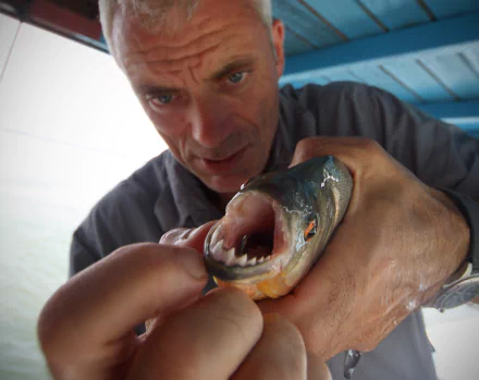 Close-up of a man holding a fierce-looking fish with sharp teeth, featured in the TV show River Monsters, shown in HD for a PC desktop wallpaper and background.