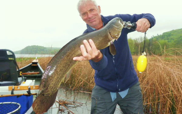 Angler holding a large catfish in marshy water; River Monsters TV show themed 2K Quad HD PC desktop wallpaper/background.