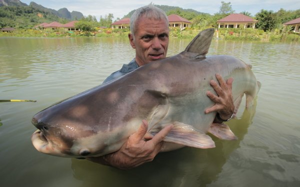 TV Show River Monsters HD Wallpaper | Background Image