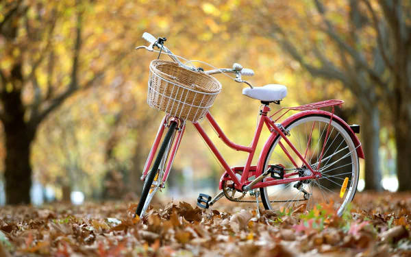 HD desktop wallpaper featuring a red bicycle with a basket, parked on a leaf-covered path in an autumnal forest.