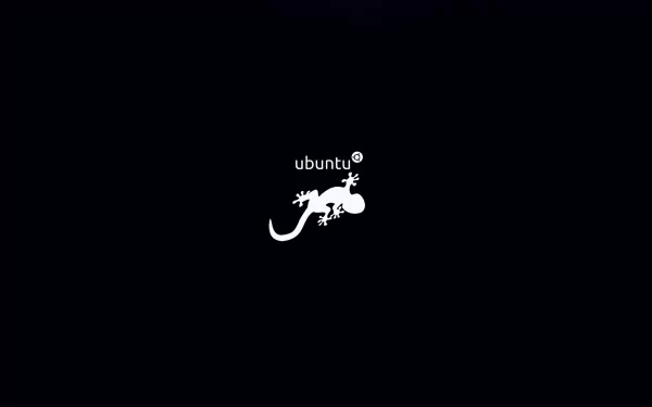Minimalist HD desktop wallpaper featuring a white salamander silhouette with the Ubuntu logo, symbolizing technology and the Linux operating system on a black background.