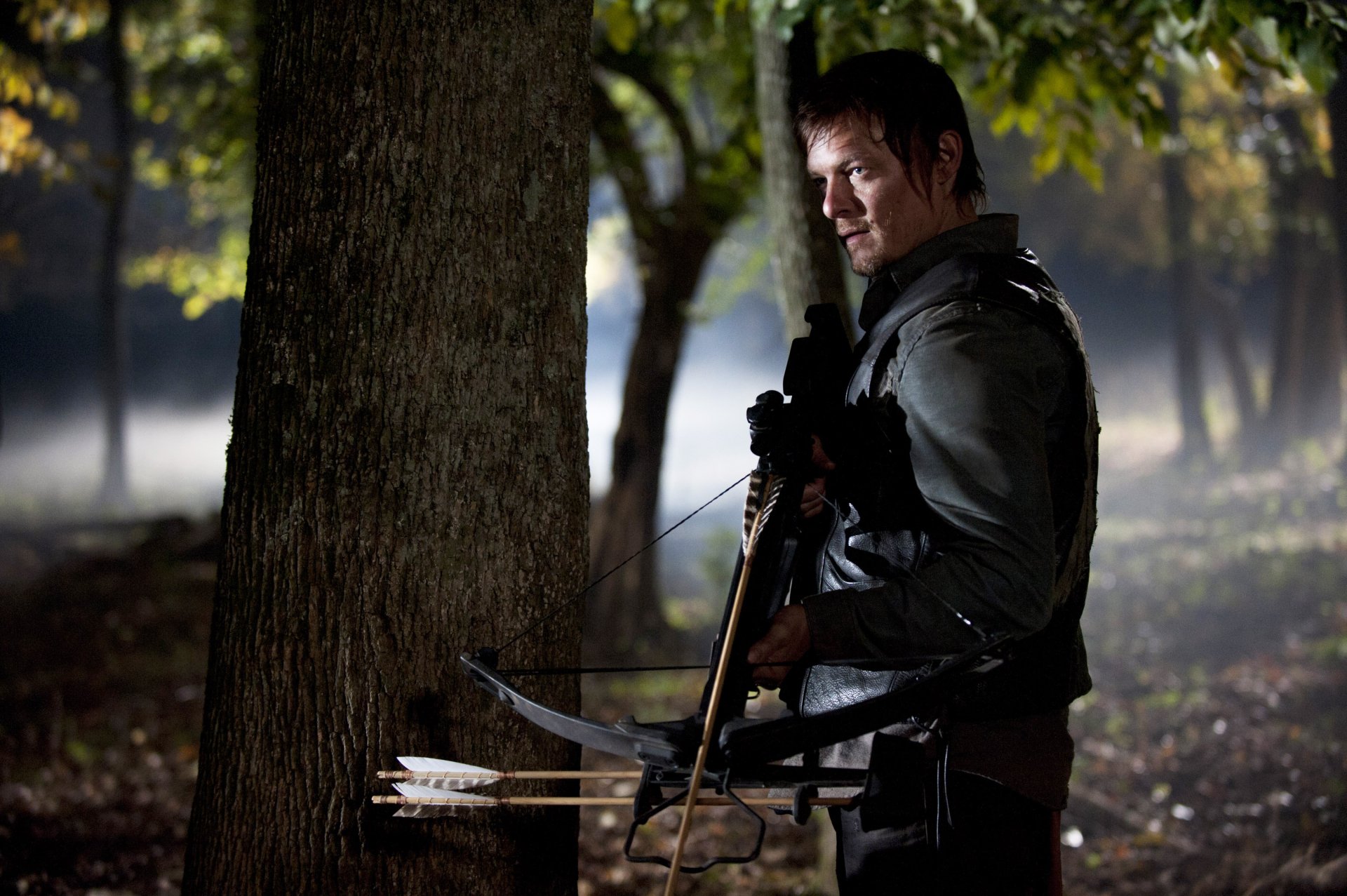 Daryl Dixon, portrayed by Norman Reedus, stands against a tree with a bow in hand, set in a misty forest backdrop from the TV show The Walking Dead. HD wallpaper showcasing intense survival.