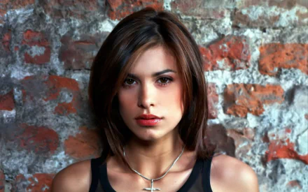 HD PC desktop wallpaper featuring celebrity Elisabetta Canalis against a rustic brick wall background.