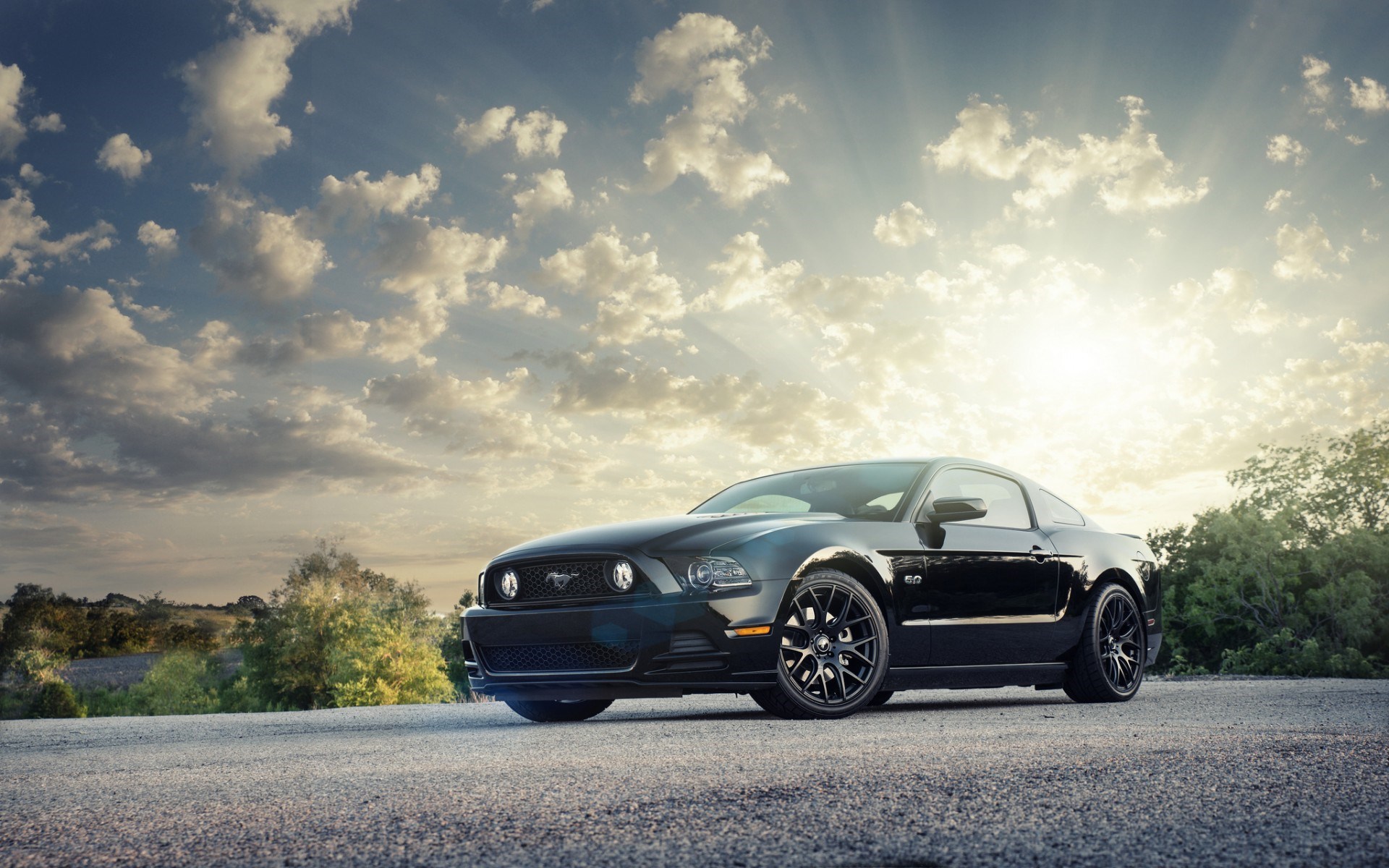 Không ai có thể phủ nhận được sức hút đặc biệt của chiếc xe hơi Ford Mustang - biểu tượng của sức mạnh và tảng băng phiêu lưu. Hãy cùng chiêm ngưỡng hình ảnh của chiếc xe hơi này và đắm mình trong khung cảnh tuyệt đẹp.
