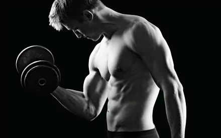 weightlifting Sports HD Desktop Wallpaper | Background Image
