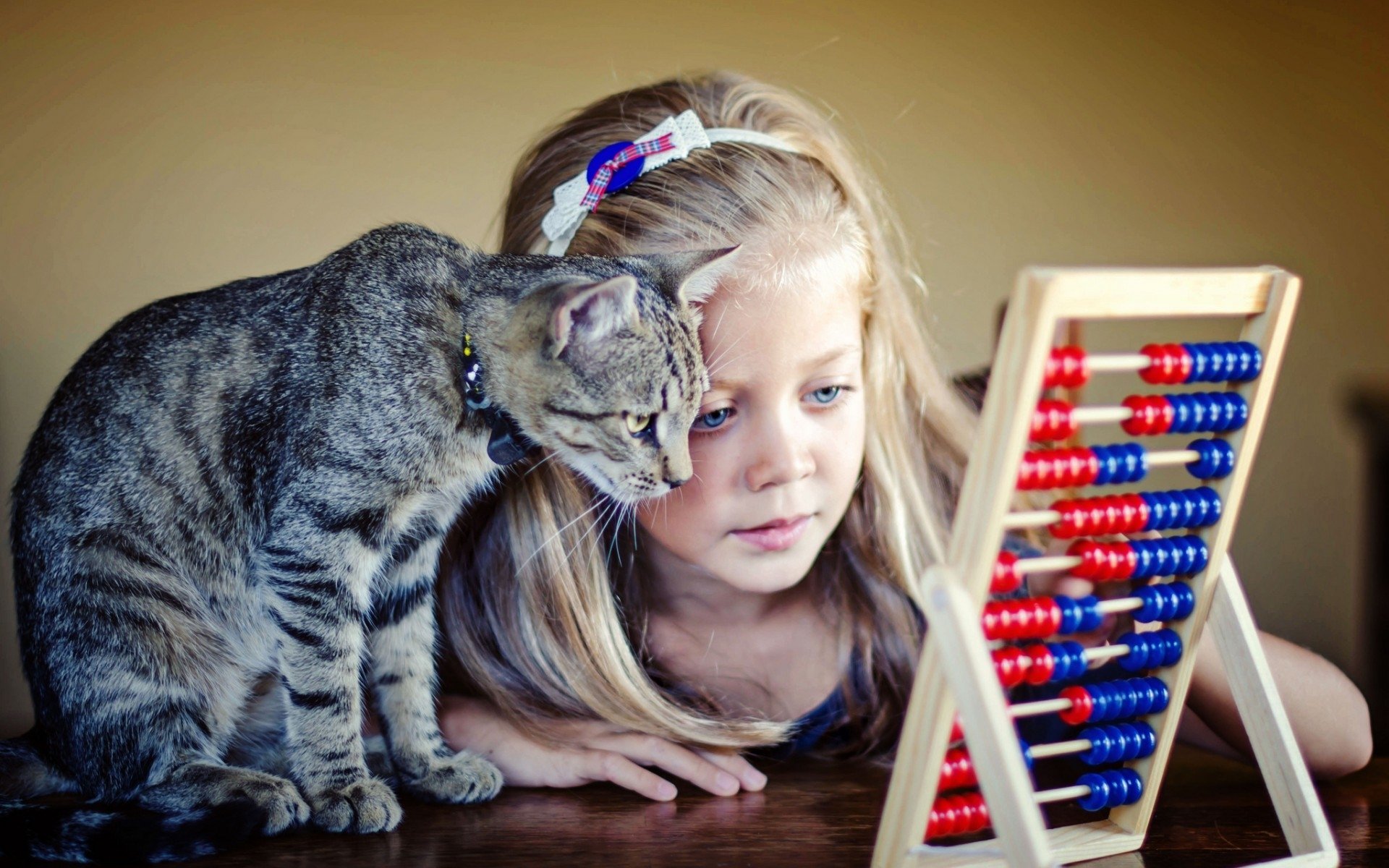 A curious cat leans in close to a girl as they both intently observe an abacus, captured in this charming HD desktop wallpaper.