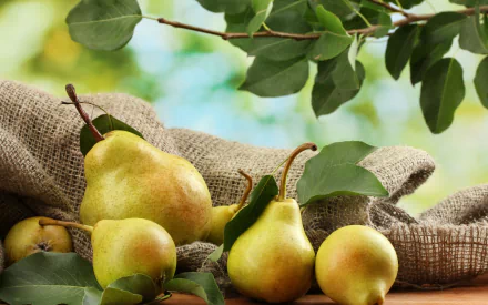 food pear HD Desktop Wallpaper | Background Image