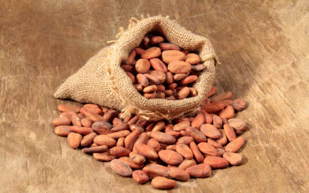 A burlap sack spilling cocoa beans onto a wooden surface, showcasing the rich texture and natural beauty of these nuts. This HD desktop wallpaper captures a delightful food theme.