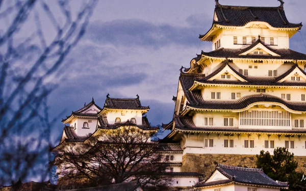 HD desktop wallpaper featuring the illuminated man-made Himeji Castle against a twilight sky with tree branches in the foreground.
