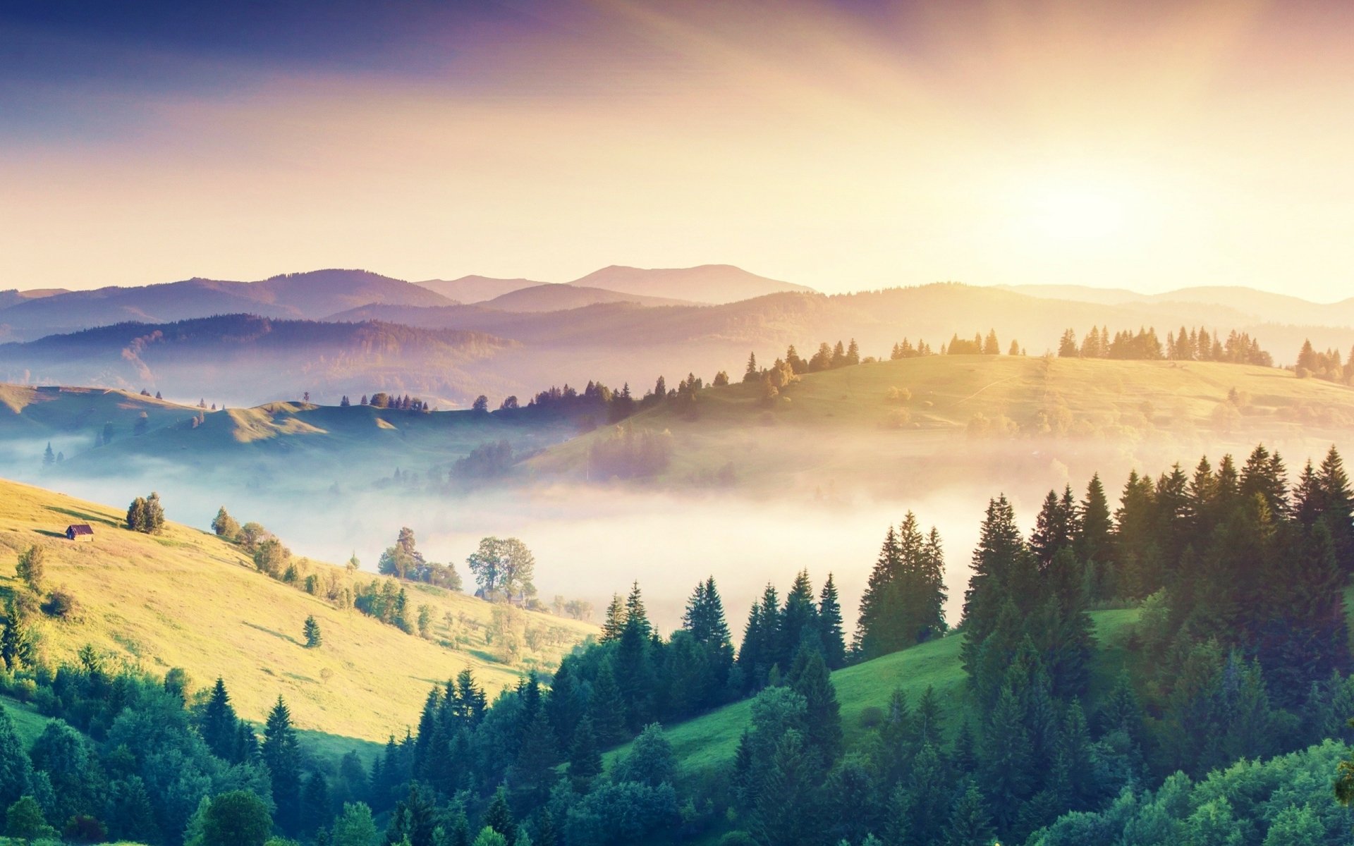 HD desktop wallpaper featuring a misty sunrise over a lush, rolling landscape with towering trees and distant mountains.