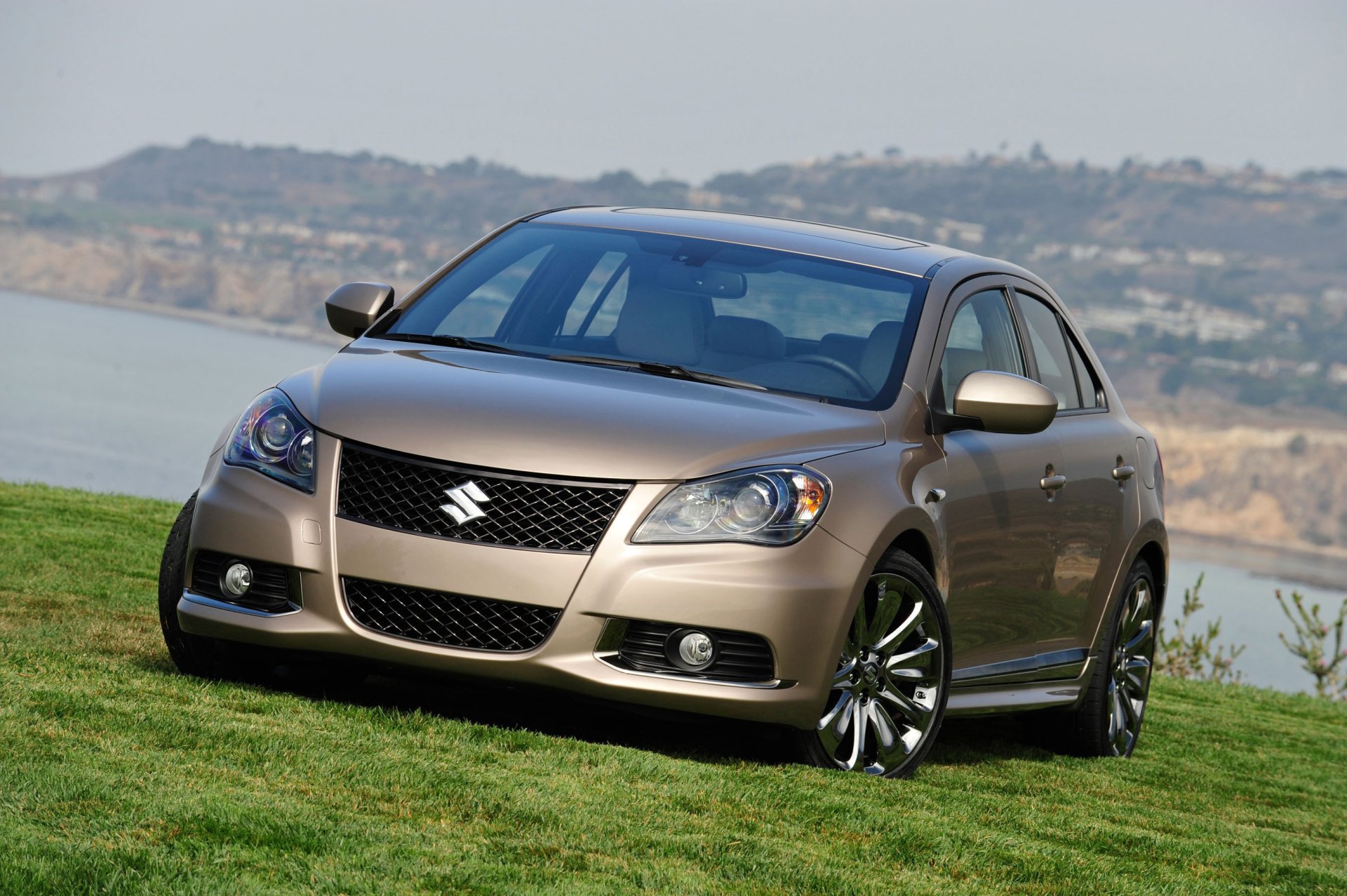 Suzuki Kizashi