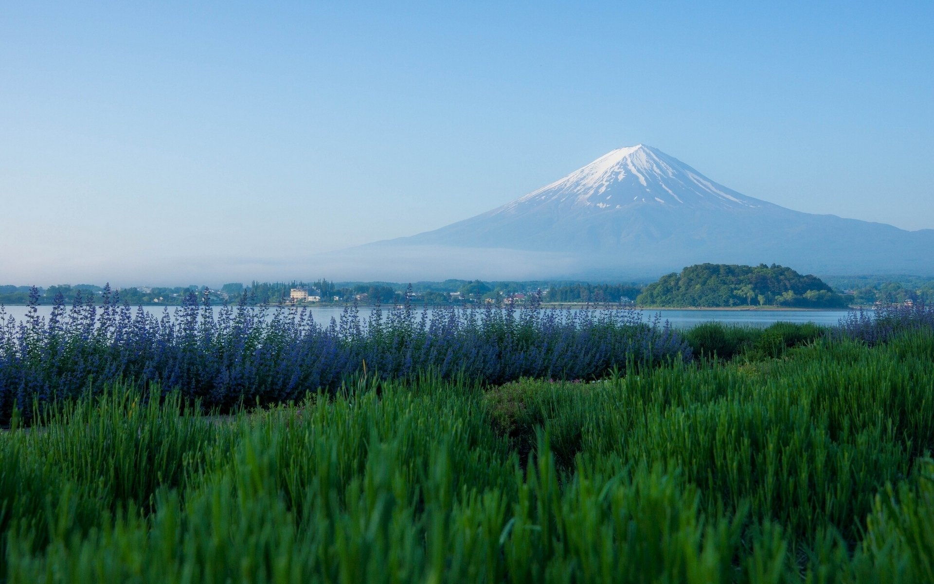 Lavender meadow at Lake Kawaguchi with Mount Fuji's snow-capped peak rising above the lake — serene Japan mountain and volcano HD PC desktop wallpaper.