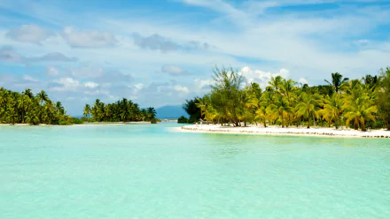4K Ultra HD desktop wallpaper featuring a serene tropical island with clear turquoise waters, lush palm trees, and a bright, partly cloudy sky.