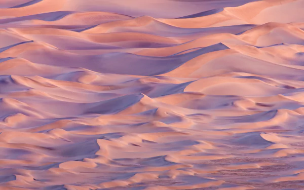4K Ultra HD PC desktop wallpaper/background — desert nature: rippled sand dunes bathed in warm pink and purple light.