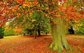 HD Wallpaper | Background Image ID:464583