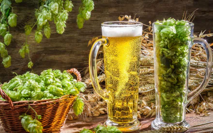 food beer HD Desktop Wallpaper | Background Image