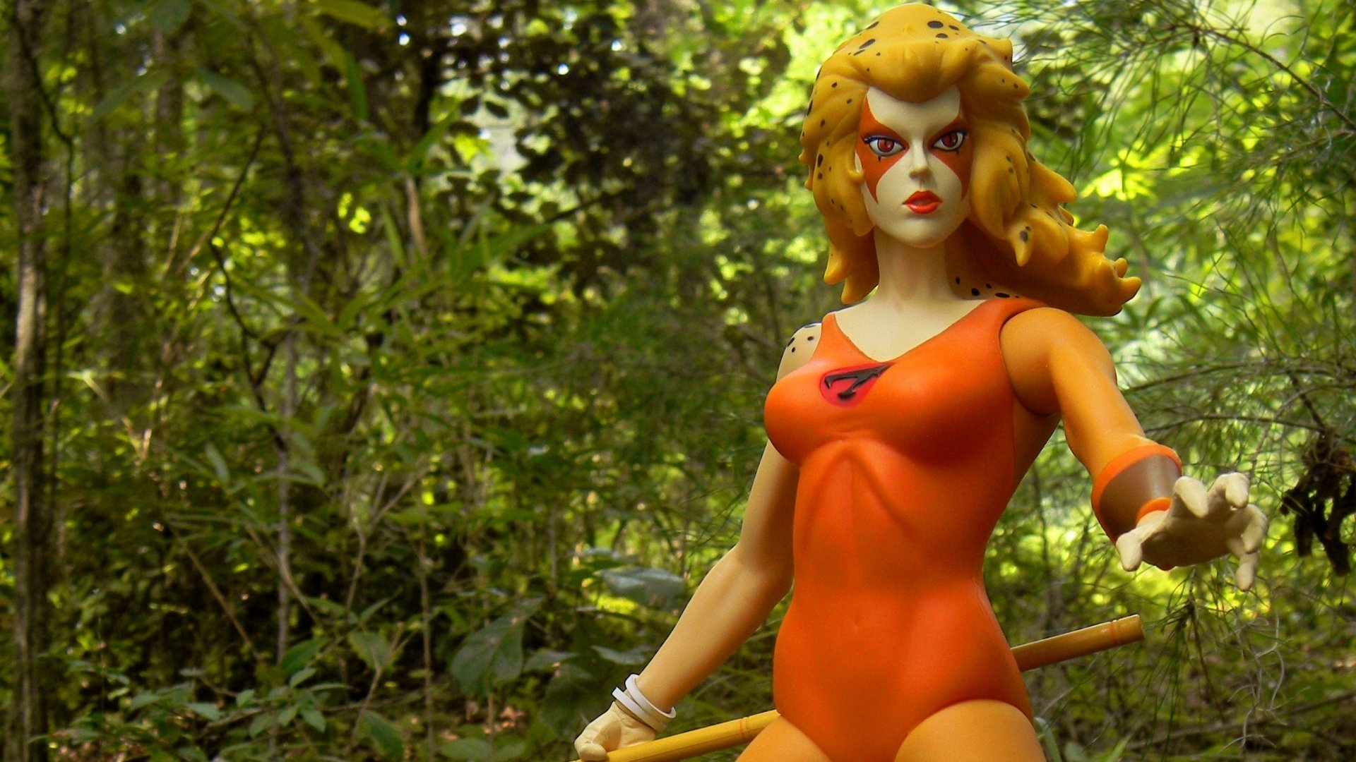 Download Comic Cheetara HD Wallpaper