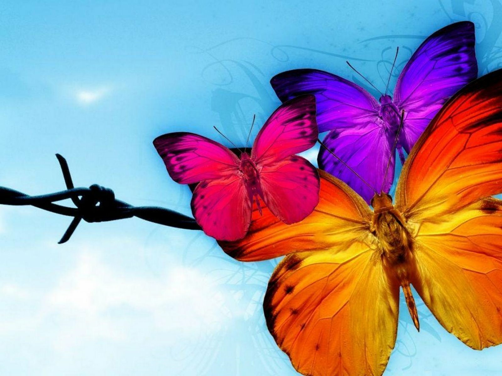 A vibrant HD wallpaper featuring colorful butterflies in shades of pink, purple, and orange against a soft blue background, creating a lively and expressive nature scene.