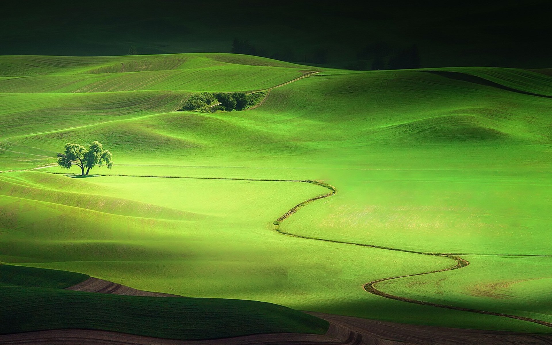 HD desktop wallpaper featuring a vibrant green landscape with rolling hills, a winding path, and a small cluster of trees under a subtle light.