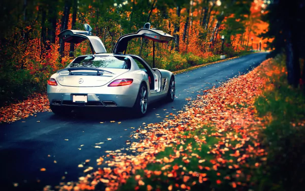 A silver Mercedes-Benz SLS with gullwing doors open parked on a leaf-covered forest road in autumn, featured as an HD PC desktop wallpaper.