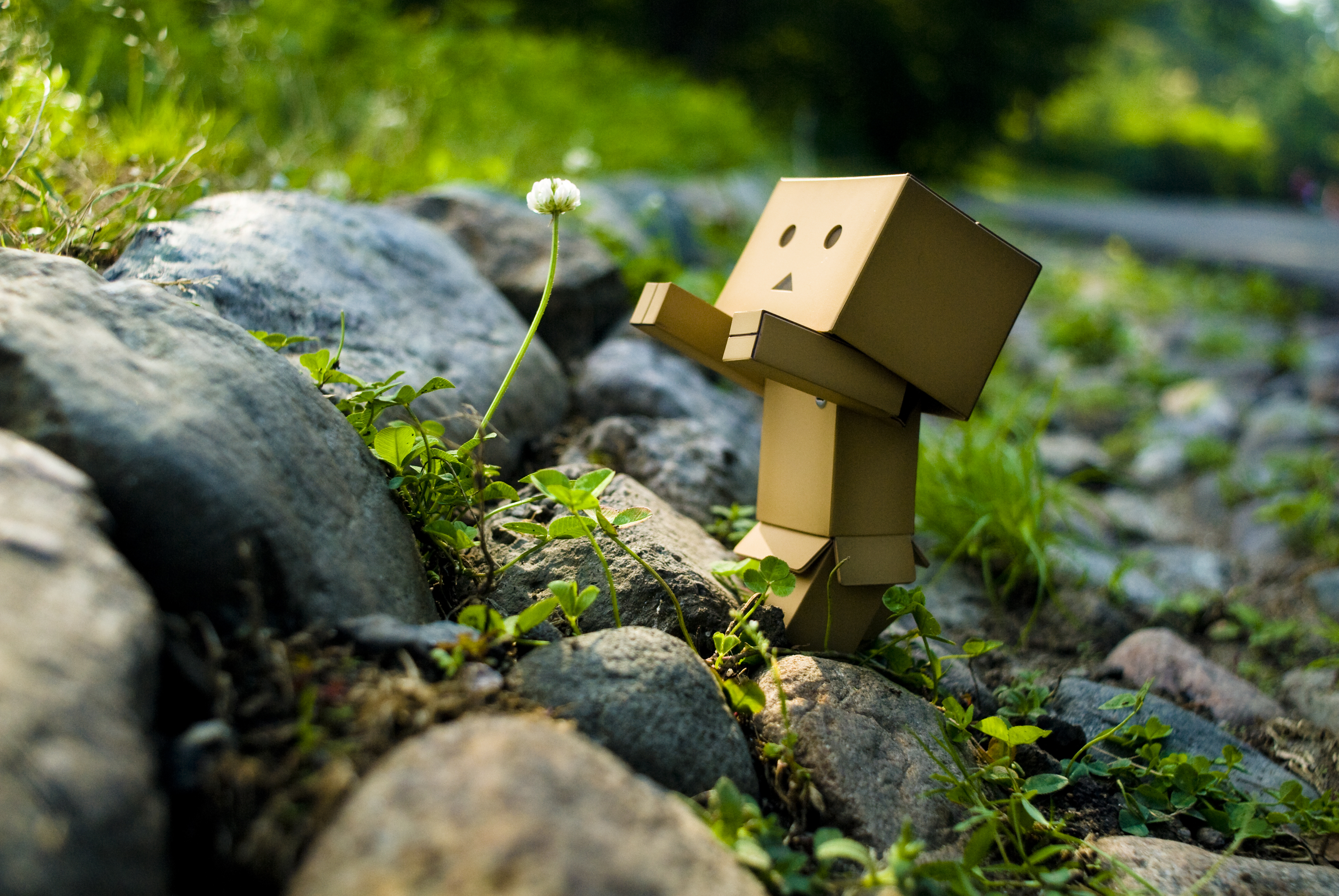 Музыка маленький человечек. Картонный робот Danbo. Картонный человечек Danbo. Данбо осень. Креативные обои на рабочий стол.