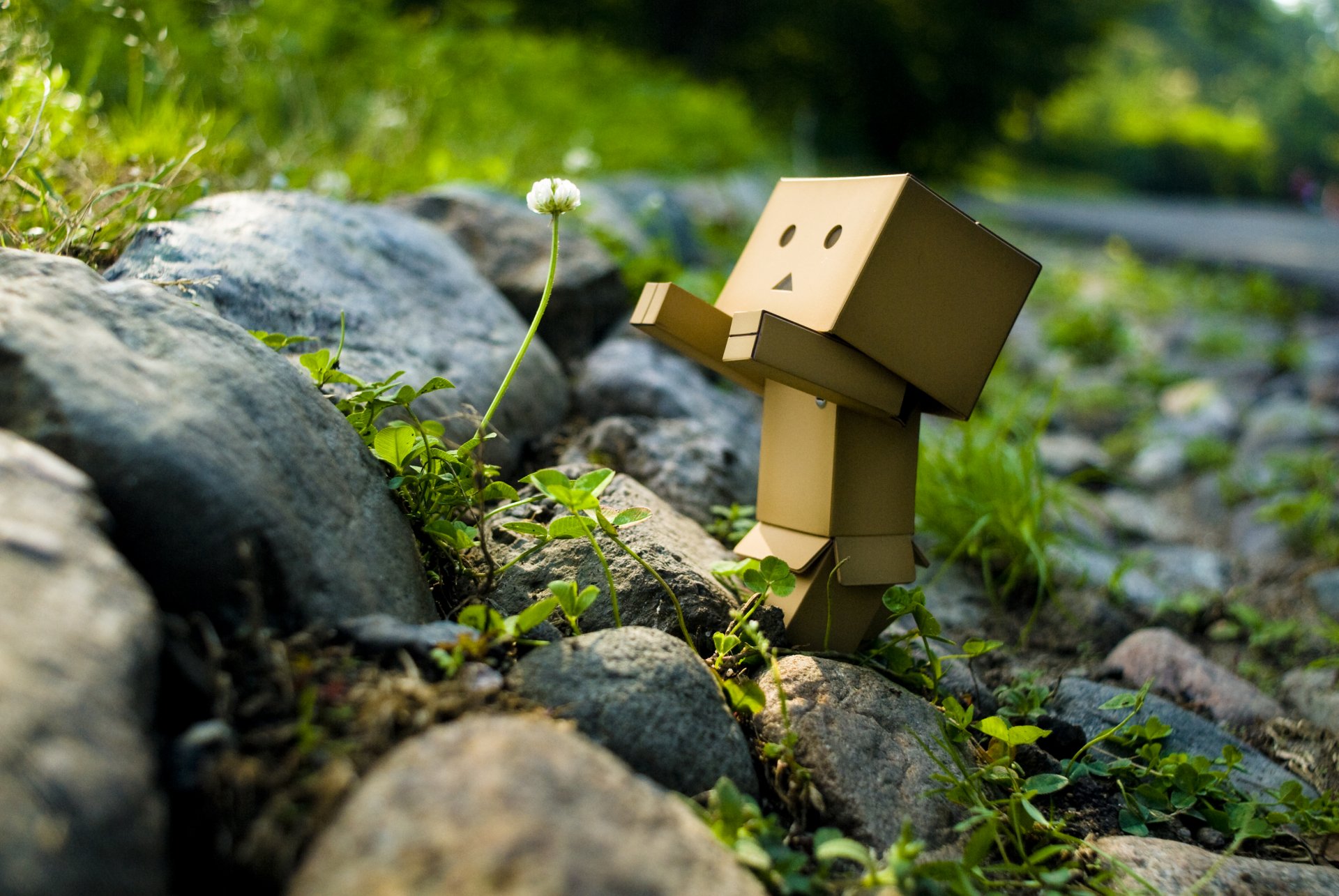 96 Danbo HD Wallpapers Backgrounds Wallpaper Abyss
